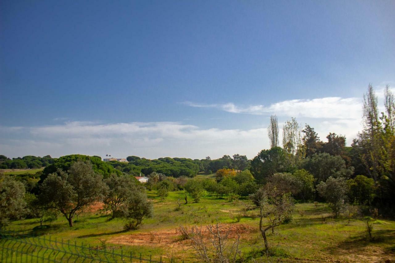 אלבופיירה Villa Yvonne,Private Pool,Private Parking 1,7 Km From The Beatch מראה חיצוני תמונה